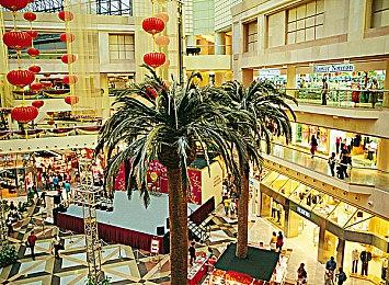 《大神》续作公布时神谷英树与粉丝一起开心到大哭